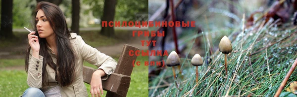 круглые Новозыбков