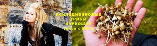 круглые Новозыбков