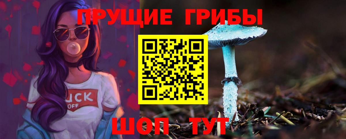 Псилоцибиновые грибы Psilocybine cubensis Соль-Илецк